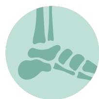 Orthopädie Fuß